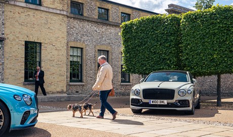 BENTLEY RETURNS FOR A PAWFECT WEEKEND AT GOODWOOD’S FESTIVAL FOR DOGS