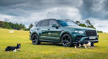Colour , Green Angle , Front 3/4 Lifestyle , Lifestyle Current Models , Bentayga , Bentayga 