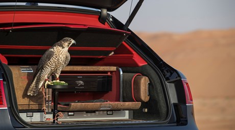 BENTAYGA FALCONRY BY MULLINER – AN EXQUISITE ACCESSORY FOR AN ANCIENT SPORT