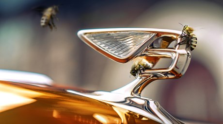 INTRODUCING BENTLEY’S NEW FLYING BEES