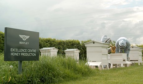 WORKFORCE OF BENTLEY’S EXCELLENCE CENTRE FOR HONEY PRODUCTION REACHES ONE MILLION BEES