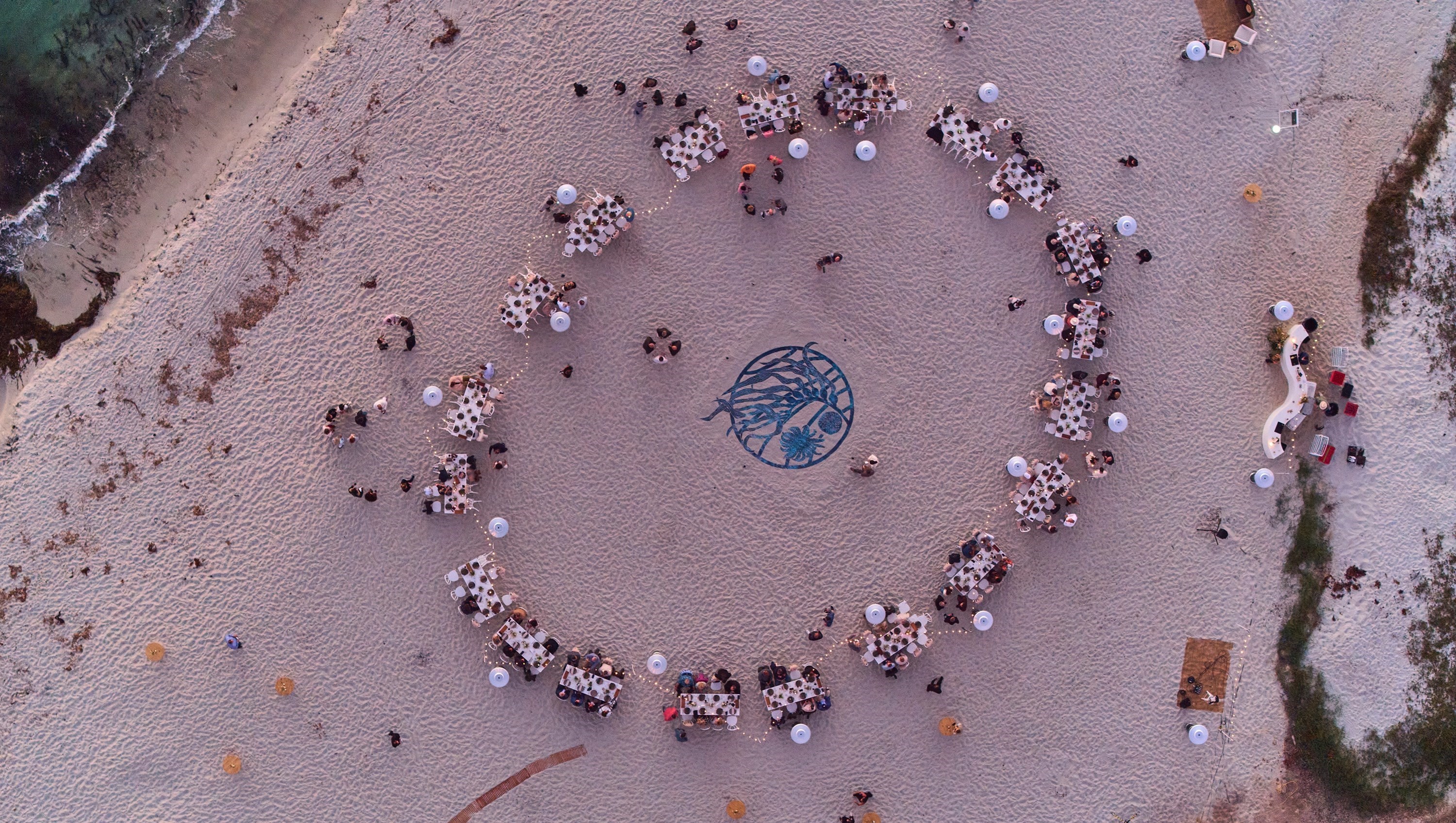 Bentley aiuta la conservazione dell’alga Kelp sostenendo un progetto ambientale Californiano