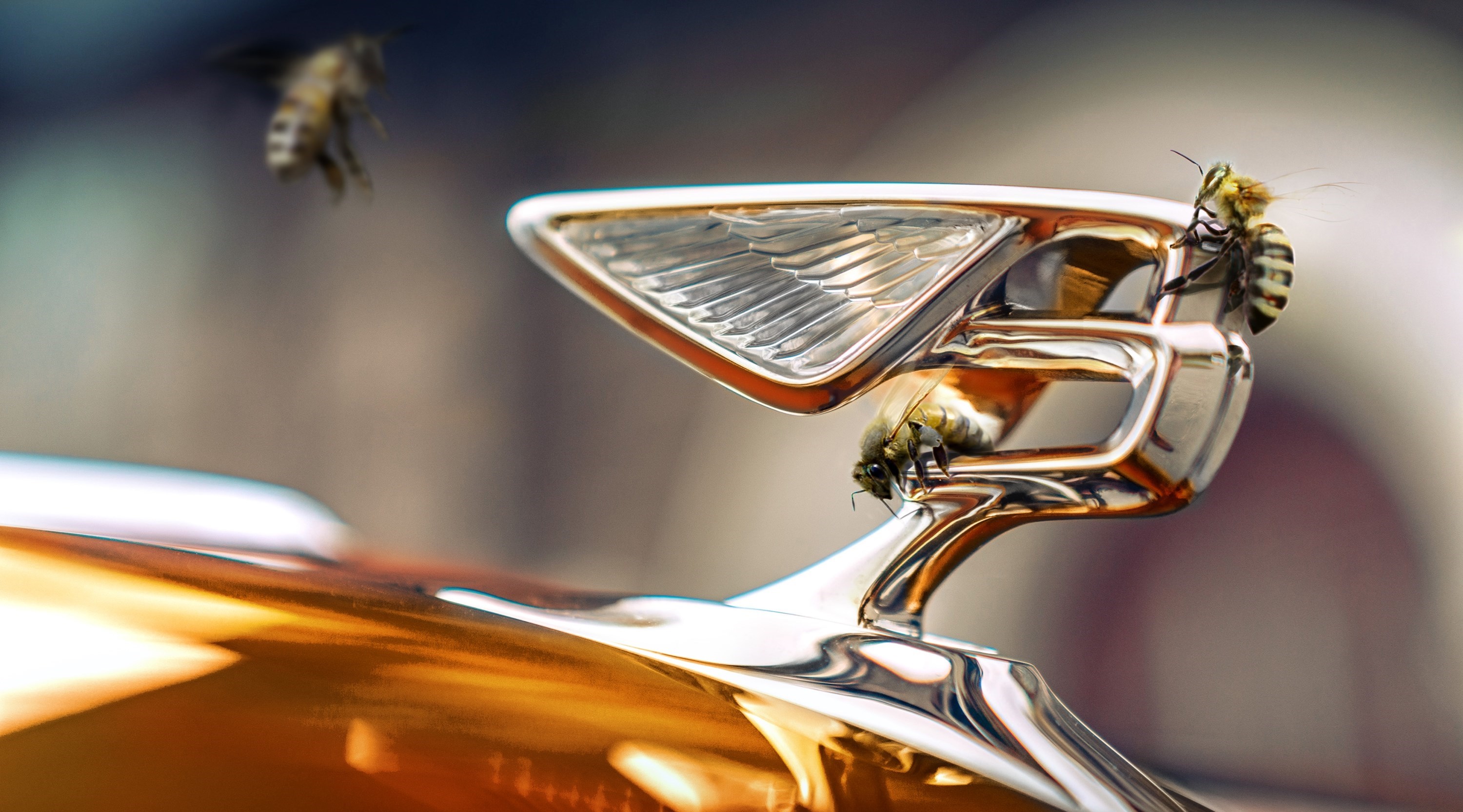 INTRODUCING BENTLEY’S NEW FLYING BEES