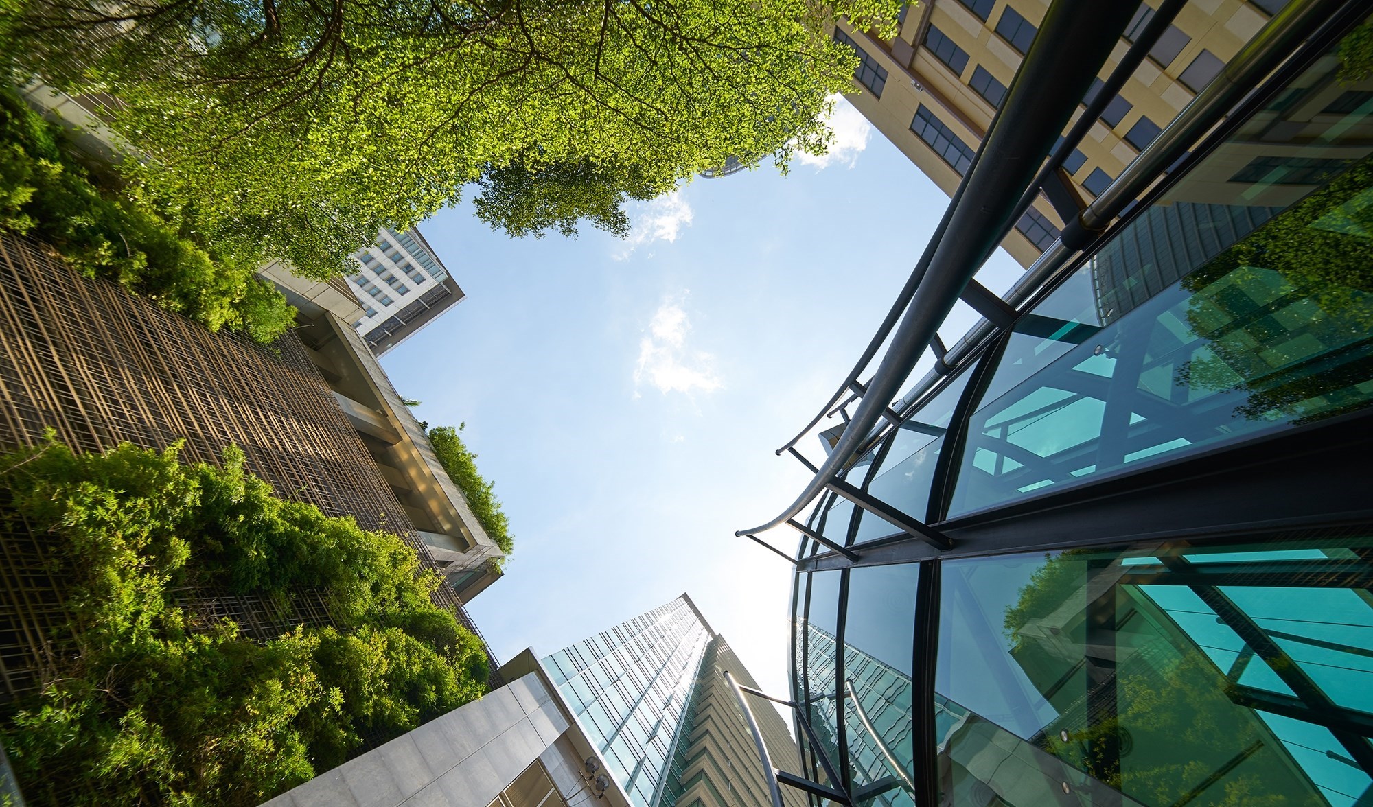 Bentley Environmental Foundation celebrates first anniversary and three new partnerships