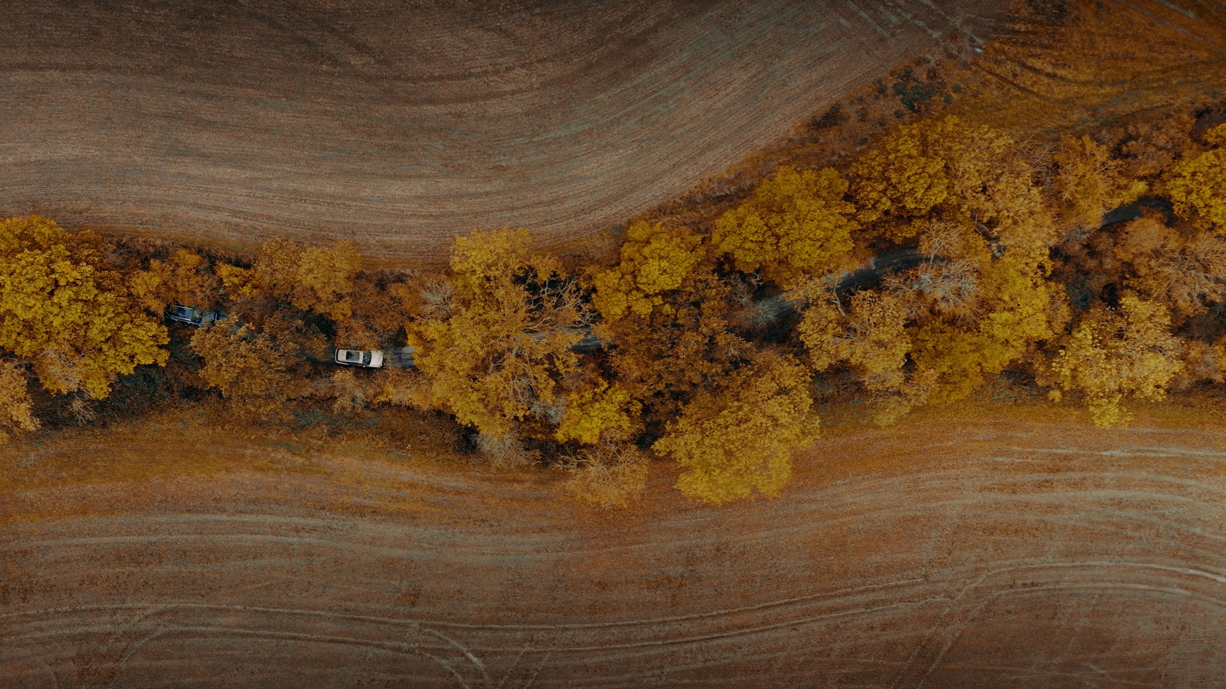 Toy Box Current Models , Bentayga 