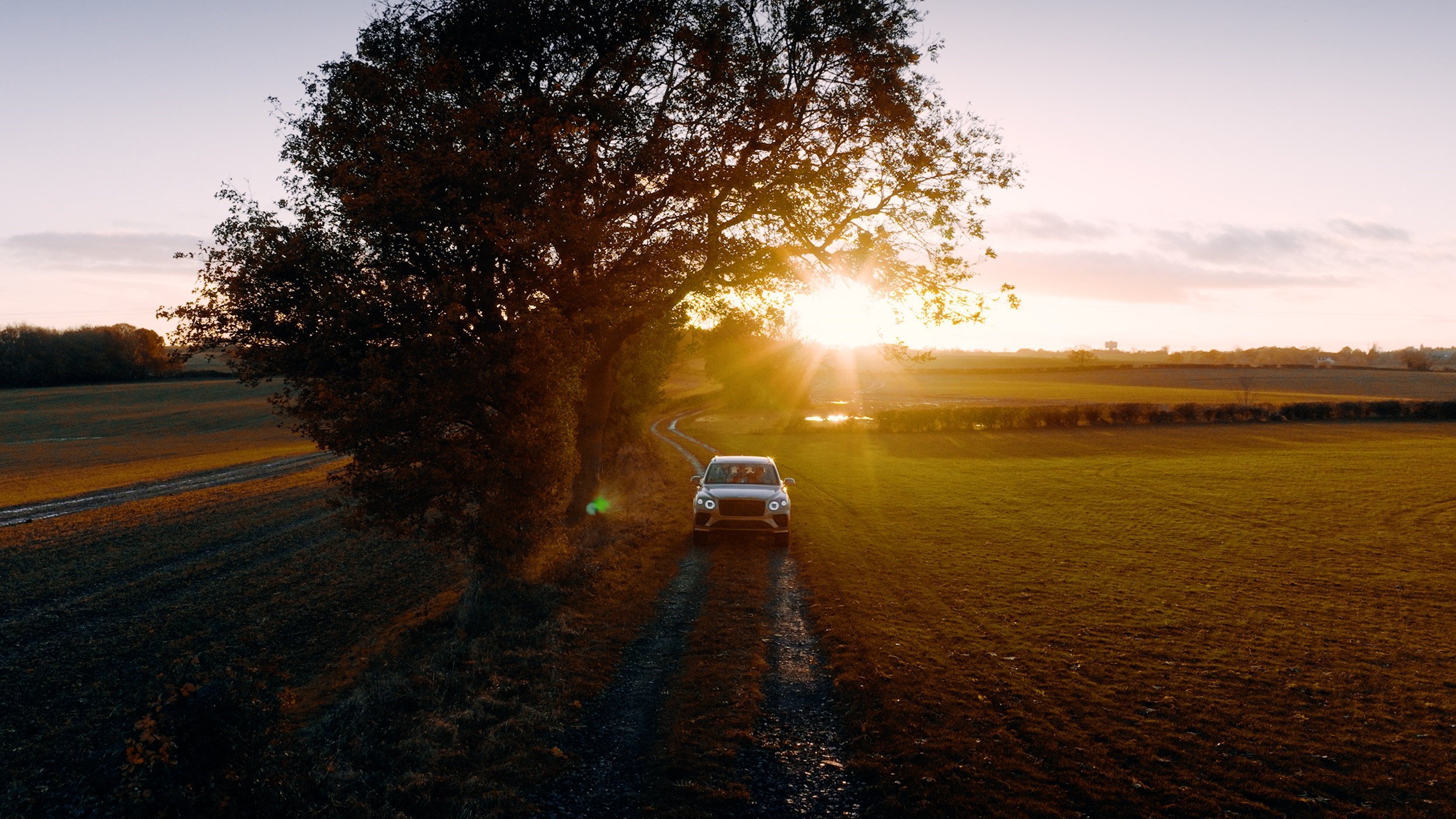 Toy Box Current Models , Bentayga 