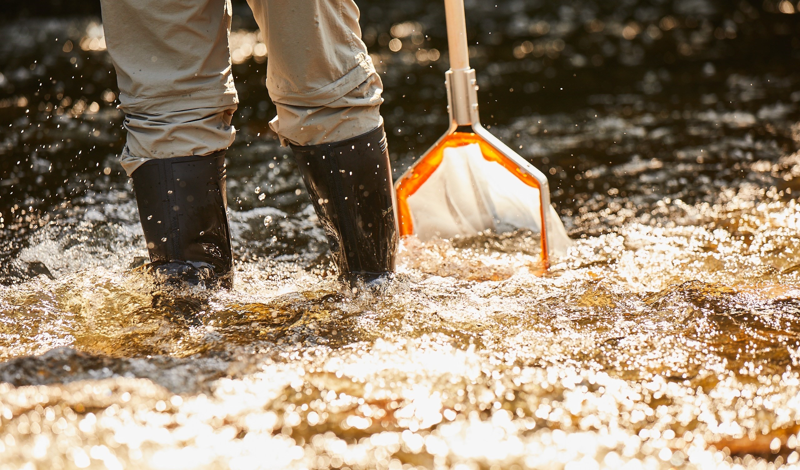BENTLEY ANNOUNCES TWO NEW ENVIRONMENTAL FOUNDATION PARTNERS