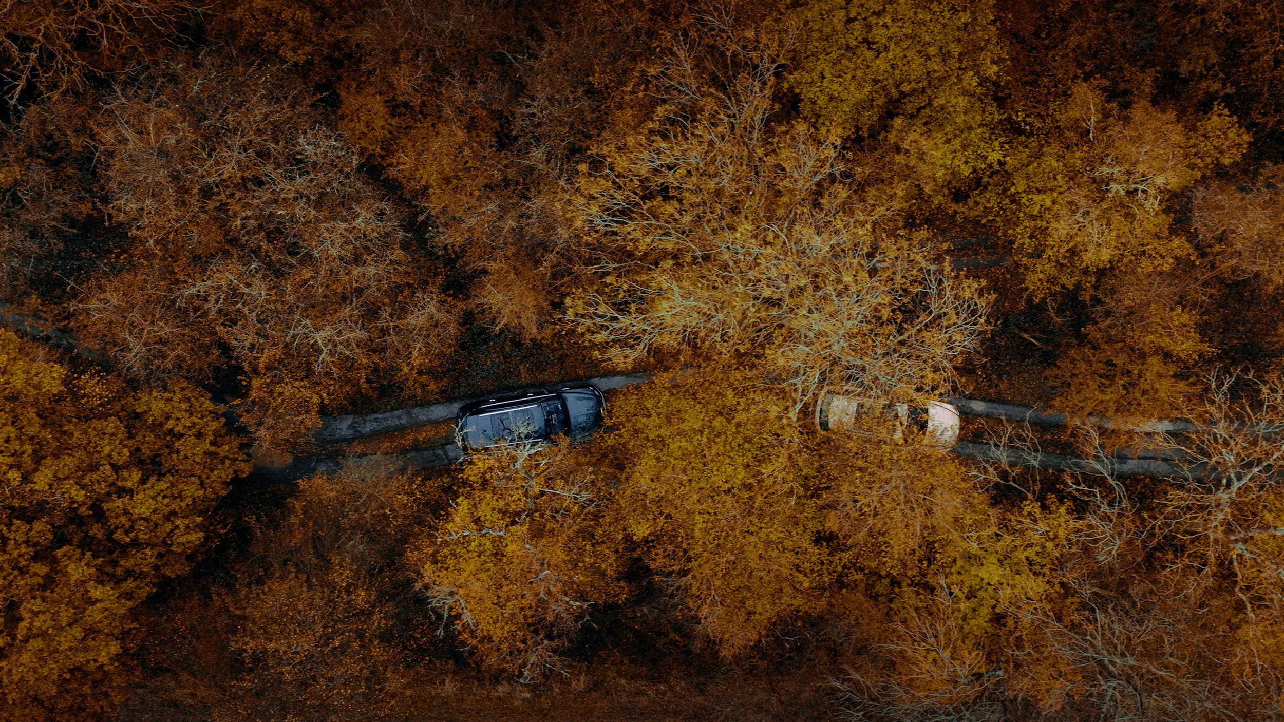 Toy Box Current Models , Bentayga 