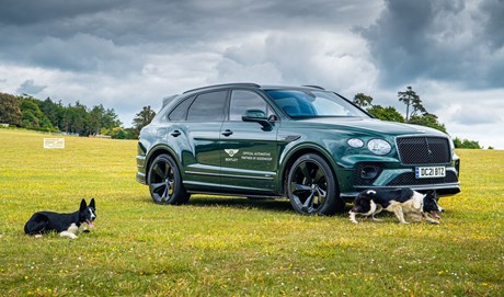 BENTLEY RAISES THE WOOF AT GOODWOOD’S FESTIVAL FOR DOGS
