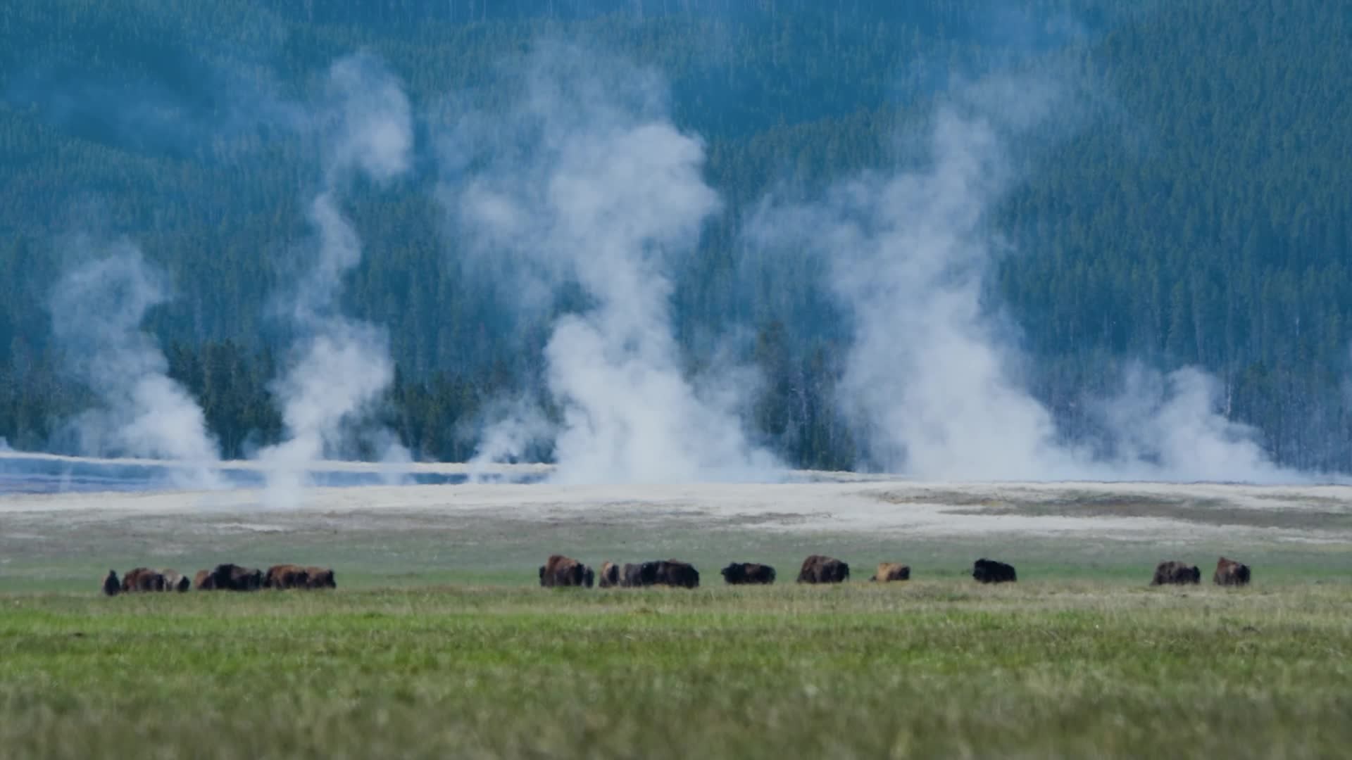 Current Models , Bentayga , Bentayga Speed 