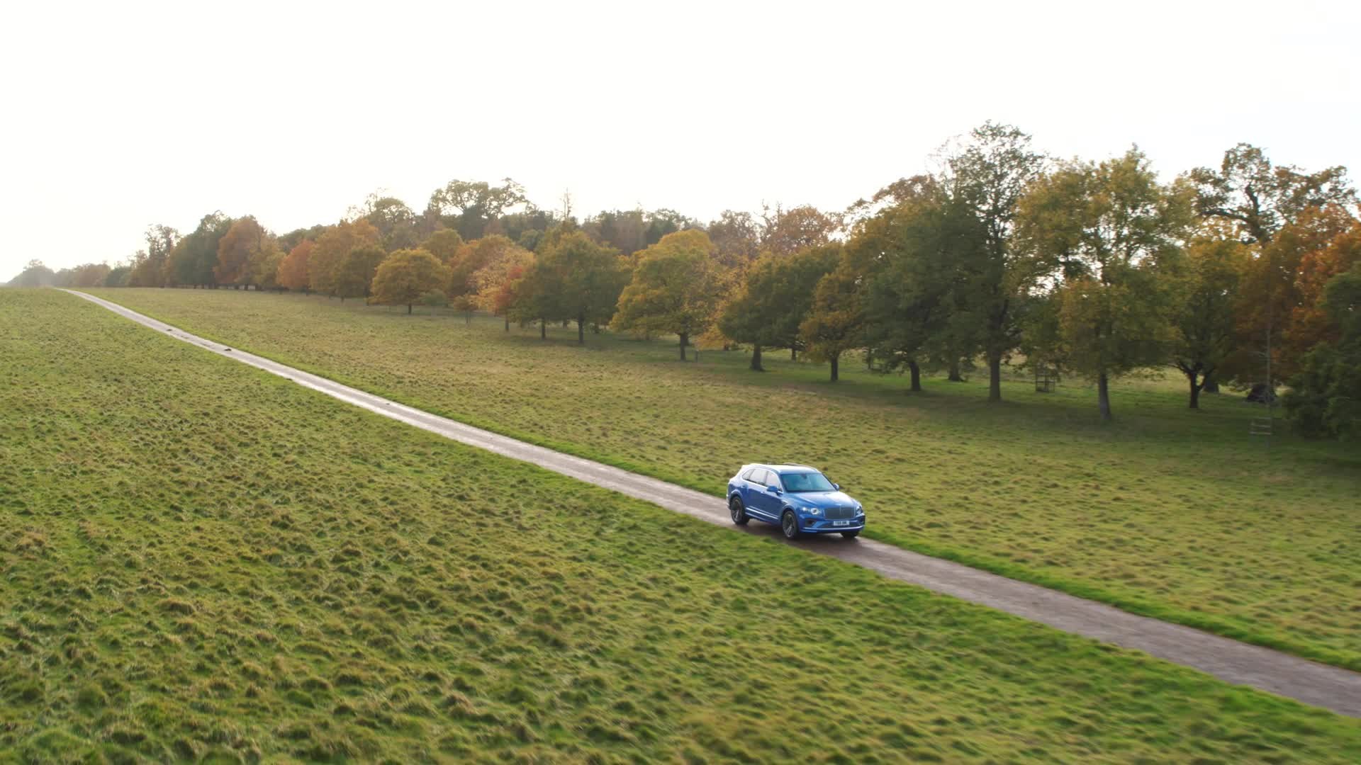 Toy Box Current Models , Bentayga 