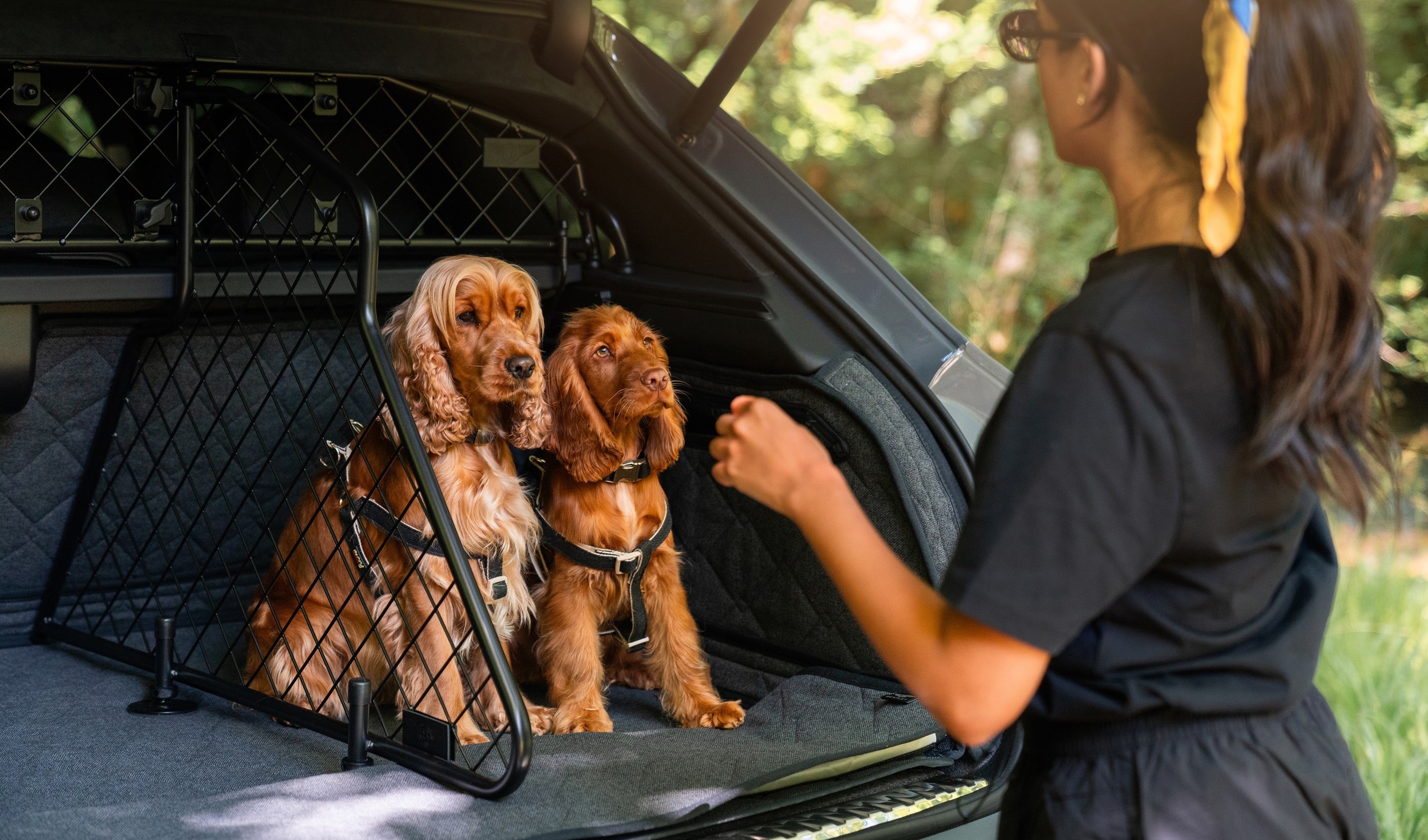Luxury for every passenger with new Pet Accessory Range