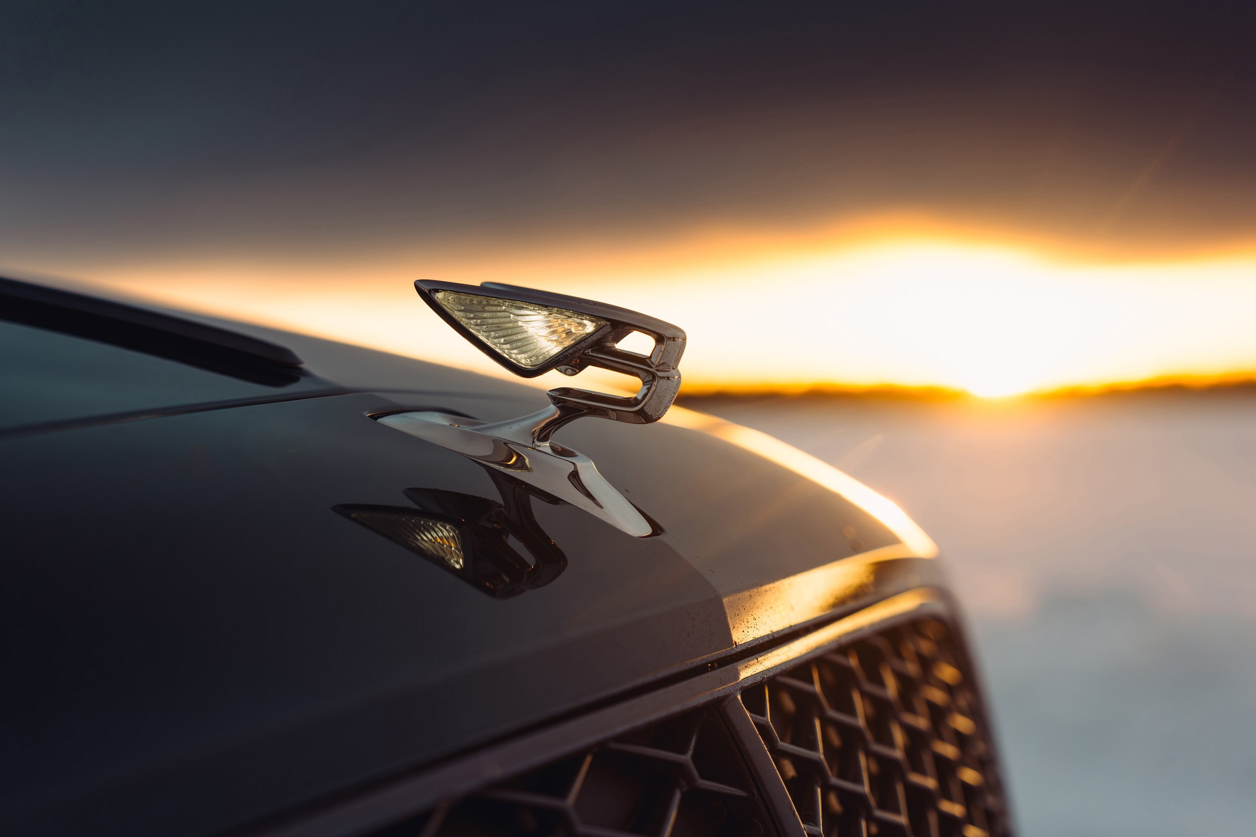 Image type , Plano Detalle Angle , Frontal Current Models , New Flying Spur , New Flying Spur 